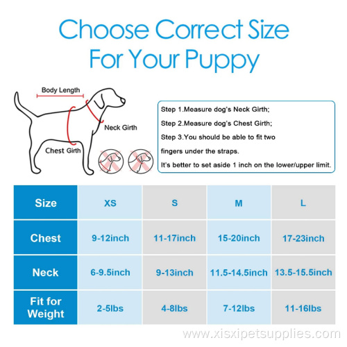 Dog Harness Fashion Comfortable Small Dog Harness